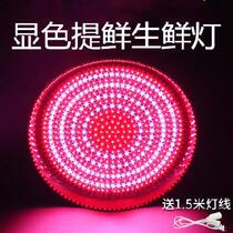 Stewed vegetable shop plug-in and sell pork with red enlarged screw cold cabinet lamps led fresh pork special led light