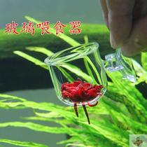 Fish and insect feeder red worm Cup feeder nematode nematode feeding fish small transparent glass suspension Cup