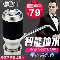 View Lake Electric Barreled Water Pumping Water Dispenser Water Dispenser Automatic Water Feeder Mineral Water Pressure Water Dispenser Drinking Water Tank Water Pumping