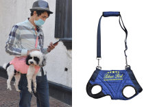 New Meshound Dog Out Bag Pet Portable Backpack Single Shoulder Bag Slanted Satchel AGING DOG ASSISTED WITH TRACTION BAG