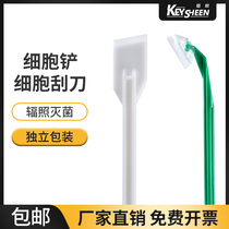 Cell Scraper Cell Scrape Lab Microbial Cell Bacteria Disposable Blades White Green Pushers PE Plastic Independent Packaging Sterile Sterilization