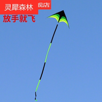 2 8 meters Prairie kite large high-end adult kite breeze easy to fly umbrella triangle kite adult