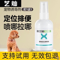 Dogs on the toilet Toilet Inducers Dog Relieve of the bowels Urine Pet Defecation Training For a Concrete Guide to Urine Pet Defecation