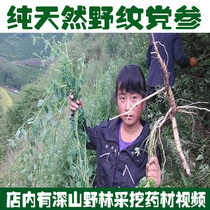 Gansu pure natural wild party ginseng 500g special-grade sulfur-free soil pattern party Lu party ginseng Shangdang can cut and grind powder