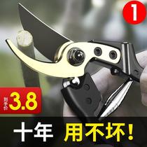 Garden big scissors prunes branch cut branches Trees branch cut branches Prunes Flowers plants Prune fruit trees Flower mulberry