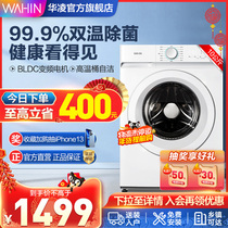 (Hualing) Midea produced 10KG kg drum washing machine small automatic household HG100X1