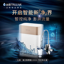 Qinyuan Water Purifier Haiwang 1000G Gold Intelligent Control Water Effective Besides Filter UR-Q51070i
