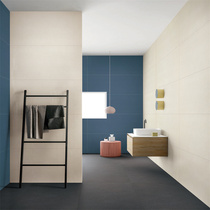 Long Valley ceramic tile professional wall floor tile bathroom living room balcony tile modern simple high BR12604