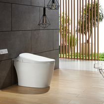 Kohlers Carrie fashion bathroom Bernardin one smart toilet 31337T-WK