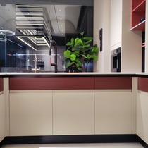 Closed 23800 meal cabinets Table Surface Hangjian Smoke Cooker Gas Cooktop Sink