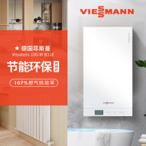 Germany Fismann first-class energy efficiency condensing wall hung gas boiler B1JE-35kw heating domestic hot water dual-use furnace