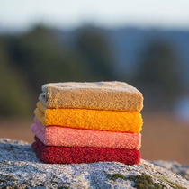 Portugal Abyss SP Aibith Egyptian cotton towel face towel cotton non-hair multi-color 30 * 50cm