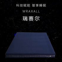 Good night home 3D suspended sleep Simmons mattress Riselle hard GA1132 (Martin Seven District Edition)
