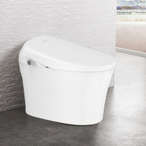 Jiumu smart toilet D7202 store hot sale