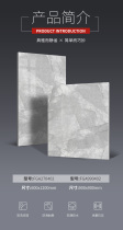 Dongpeng tile modern Guest Restaurant air purification brick geometric gray FGA270402 negative ion brick 600*1200