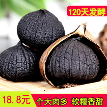 Black Garlic Solo affordable Black Garlic Special level 500g Shandong Teryield Fermented Outlet Grade Black Garlic Sole Black Garlic