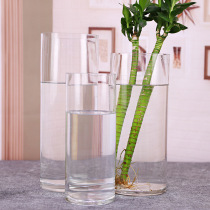  Floor-to-ceiling living room decoration Flower arrangement Dried flowers clear large transparent glass vase Hydroponic bamboo vase