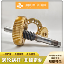 Turbine worm custom reducer gearbox Copper turbine large transmission ratio 1 to 6 mold samples to drawings Custom accessories