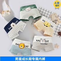  Childrens underwear Boys 3 boys underpants 4 boxer pure cotton 5 children 6 children 9 babies 12 years old boxer shorts Class A