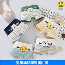  Childrens underwear Boys 3 boys underpants 4 boxer pure cotton 5 children 6 children 9 babies 12 years old boxer shorts Class A