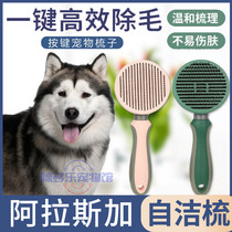 Combs for exclusive pet dogs in Alaska Self-cleaning comb brushes with hair creamers flea-open comb