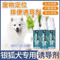 Silver Fox Dog Special Medium Dog Pet Pooch With the Targeted Defecation Inducers on Toilet Divine Instrumental Supplies Training