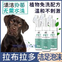 Labrador dedicated pet pooch with a clean foot foam foot nourishing and free of washing into dog breakout