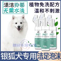 Silver Fox Dog Exclusive Medium Dog Sole Anti-Crack Pet Pooch With Clean Foot Foam Washing and Instrumental Puppies