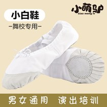White dance shoes for children and girls soft-bottom practice shoes dancing shoes adult mens cat claw shape classical ballet shoes