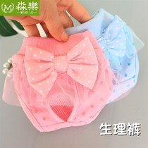 Little dog menstrual pants womens underwear safety sanitary pants aunt Teddy towel bitch mating pet anti-physiological pants