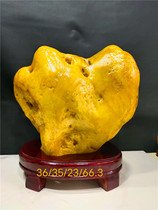 Natural raw stone Guangxi yellow wax stone Yellow Dragon Jade Sanjiang color Guizhou green Buddha shape strange stone water stone natural