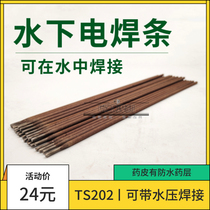TS202 waterproof electrode THT202 underwater carbon steel welding TS306 high performance underwater with water welding 3 24 0