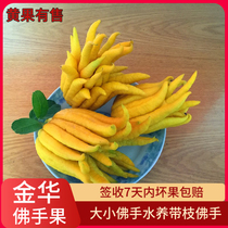 Jinhua Bergamot fresh fruit Bergamot with branches Water raised Bergamot fruit Golden Bergamot Citron Fresh Bergamot picked and sent now