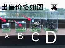 Jump Spider Box Florida Jumping Spider Feeding Box Special Skipping Spider Box Spider Special Rearing Box