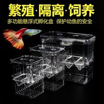 Fish tank isolation box Hatching Box Peacock Fish Breeding Box Tropical Fish Small Fish Young Fish Size Incubators Spawning Room