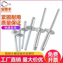 Large Cap Aluminum Rivet Pumping Core Rivet Large Head Pull Rivet Big Hat Aluminum Pull Nail Big Flat Head Pull Stud M4 M5