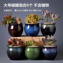 Six sets of multi-meat flower pots retro room coarse pottery Breathable Ceramics Creative Personality Meat plant Large number of flower pots