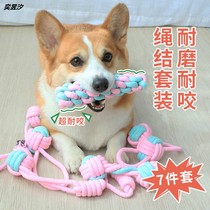 Pet dog knot toy molars bite-resistant puppies small dog Corky Teddy alone relief artifact bite rope