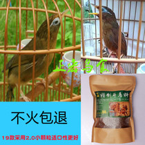 Zhenghong brand refined feed competition bird food nutrition ripe bird material handmade thrush fat special sale