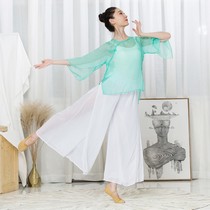 National Day 11 new classical dance practice uniform body rhyme gauze female adult Chinese dance performance costume elegant net
