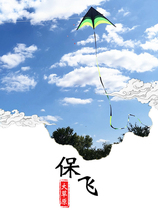 Weifang kite adult large high-end Prairie kite triangle breeze easy to fly children beginners