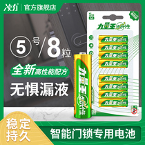 Lingli No 5 8 alkaline fingerprint smart door lock battery AA No 5 1 5V electronic lock security door Childrens toys