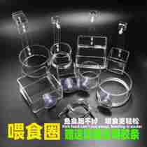 Fish tank floating feeding ring tube water group acrylic transparent feeder bucket hook suction cup for feeding fish grain anti-drifting