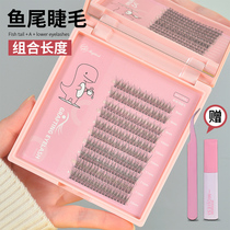Net red fish tail eyelashes mixed fairy hair false eyelashes womens single cluster grafting itself simulation natural self-adhesive