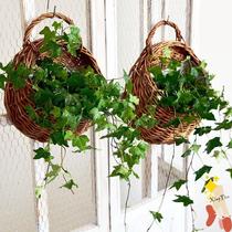 Shelf Wall Wall Green drop blue flower pot woven living room bamboo basket flower basket rattan open shop hanging basket hanging