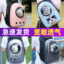 Cat bag Out carrying bag Space capsule pet backpack Cat cage shoulder transparent cat school bag Dog and young cat supplies