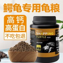 Crocodile Turtle Feed special food North American crocodile turtle bursting pure Buddha Big Crocodile crocodile turtle Miscellaneous Buddha crocodile turtle turtle food