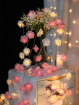 Romantic Rose Fancy Lantern String Light Trunk Request Wedding Surprises Scene Birthday Placement Nemesis Red Room Bedroom Decoration