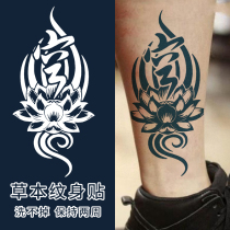 Feel free to@xmxp official herbal tattoo juice appliqué arm waterproof long-lasting simulation plant lotus male and female thighs