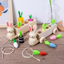 Wooden children Puzzle Early Education Toys 0-46 Baby Two-In-One Pulled Radish Rabbit Pulled Carb Fruit Pairing Toys